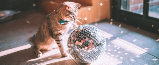 Illuminazione smart e astrologia: luce adatta al tuo segno zodiacale