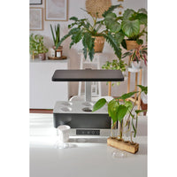LEDVANCE Indoor Garden KIT PRO Anzuchtsystem 36cm inkl. Pflanzenlicht 220…240V 24W / 3600K LEDVANCE Indoor Garden KIT PRO Anzuchtsystem 36cm inkl. Pflanzenlicht 220…240V 24W / 3600K