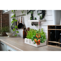 LEDVANCE Indoor Garden KIT Anzuchtsystem inkl. Pflanzenlicht 220…240V 20W / 3550K LEDVANCE Indoor Garden KIT Anzuchtsystem inkl. Pflanzenlicht 220…240V 20W / 3550K