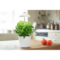 LEDVANCE Indoor Garden Umbrella LED Pflanzenlicht 20cm USB 5V 5W / 3400K LEDVANCE Indoor Garden Umbrella LED Pflanzenlicht 20cm USB 5V 5W / 3400K