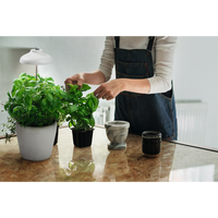 LEDVANCE Indoor Garden Umbrella LED Pflanzenlicht 20cm USB 5V 5W / 3400K LEDVANCE Indoor Garden Umbrella LED Pflanzenlicht 20cm USB 5V 5W / 3400K