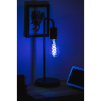 LEDVANCE Wifi SMART+ LED-Lampada Filamento Edison 30 RGBW multicolore (ex 60W) 4,5W E27 LEDVANCE Wifi SMART+ LED-Lampada Filamento Edison 30 RGBW multicolore (ex 60W) 4,5W E27