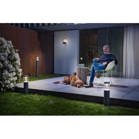 LEDVANCE LED lampada a parete e da soffitto, lampada per applicazioni esterne, bianco caldo, 176,0 mm x 110,0 mm x 240,0 mm, ENDURA STYLE LANTERN MODERN LEDVANCE LED lampada a parete e da soffitto, lampada per applicazioni esterne, bianco caldo, 176,0 mm x 110,0 mm x 240,0 mm, ENDURA STYLE LANTERN MODERN