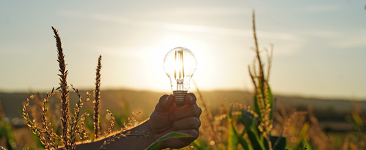 Grazie alla potenza del sole! Tutt o quello che c’è da sapere sulle LED solari
