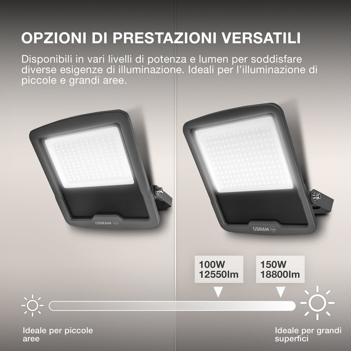 ; ; ; ; ; ; ; 