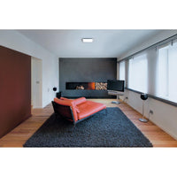 ; ; ; 