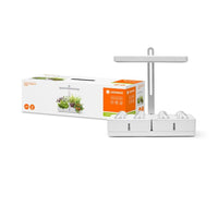 LEDVANCE Indoor Garden KIT Anzuchtsystem inkl. Pflanzenlicht 220…240V 20W / 3550K