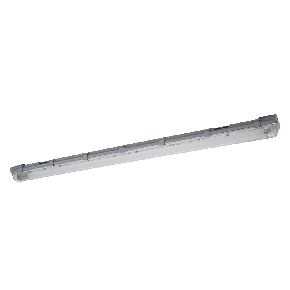 ; ; ; 
