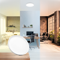 ; ; ; ; 