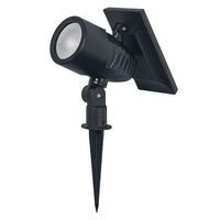 ; ; ; ; 