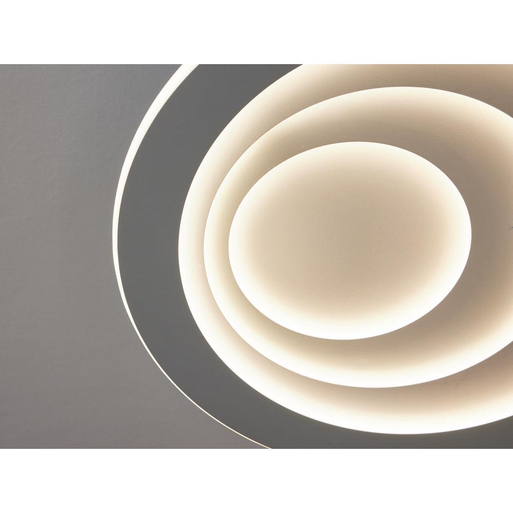 ; ; ; 