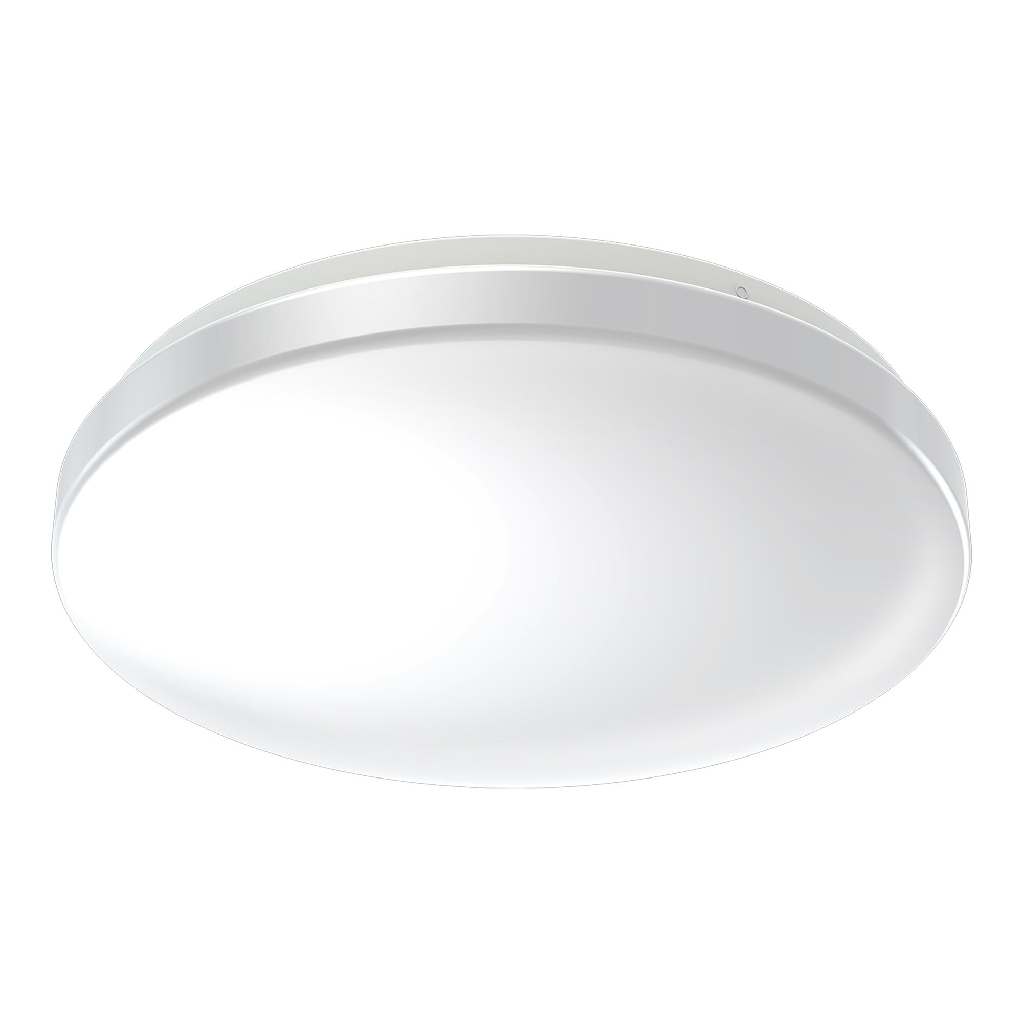 ; ; 