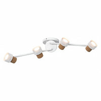 ; ; ;