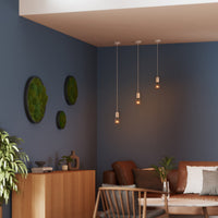 ; ; ; 