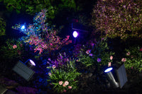 LEDVANCE SMART+ picchetto solare Bluetooth da giardino, nero