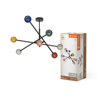 ; ; ; ; ; 