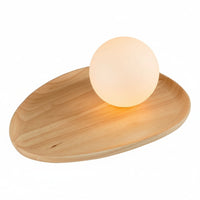 ; ; ; 