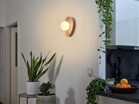 ; ; ; 