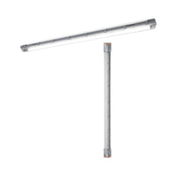 ; ; ; 