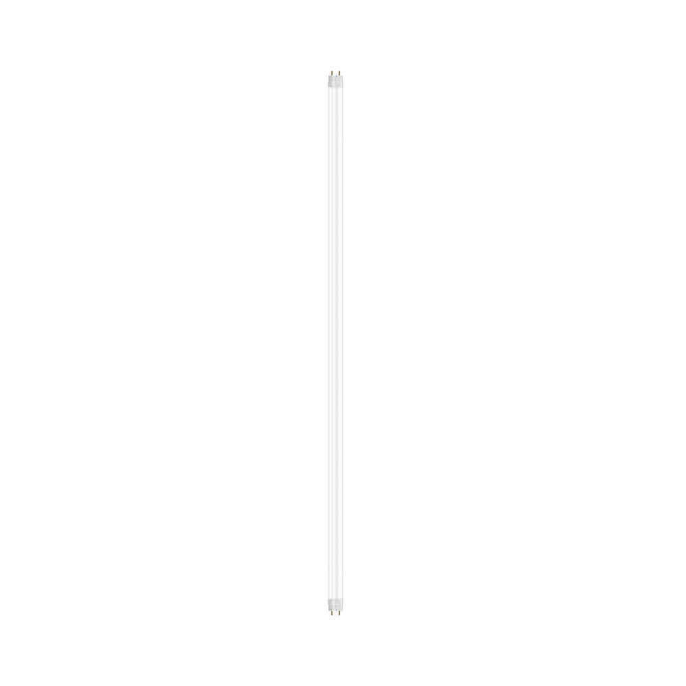 ; ; 