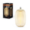 Osram Vintage 1906® LED GRANDE LAMPADINA DECORATIVA CON FILAMENTO - STILE MAGNETICO 4W 827 Ambra E27 OVALE ELLISSE, Bianco caldo
